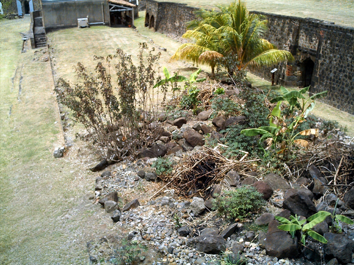 23b - Fort Louis Delgrès 035.jpg